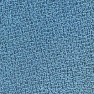 Electric Blue